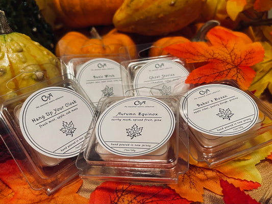 autumn mini wax melt sampler
